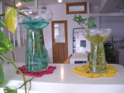ジーランド店内/植物
