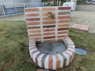 CIMG4584.JPG