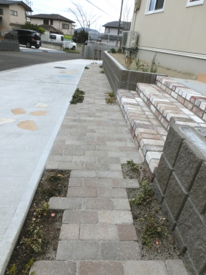 CIMG3623.JPG