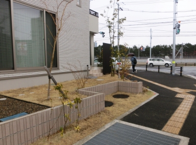 ﾋﾞﾌｫｰ 5.JPG