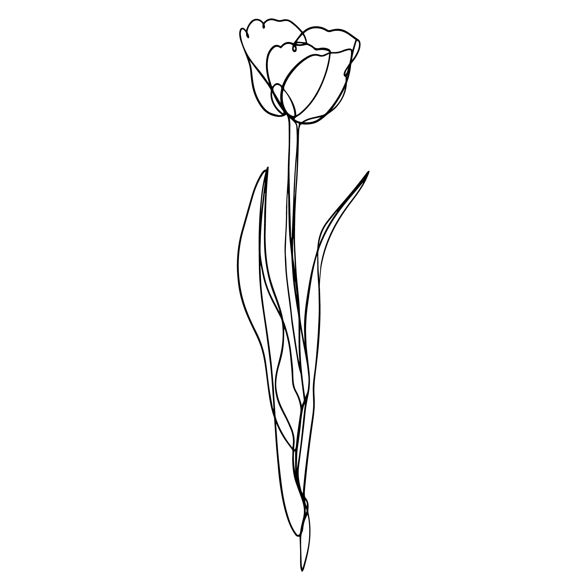 flower_line_art03