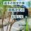 庭木の剪定作業価格改定のお知らせ